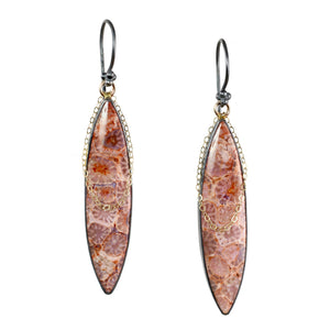 Fossilized Coral Earrings with 14k Gold