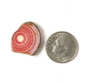 Rhodochrosite Slice