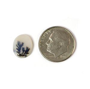 Oval Dendritic Agate Cabochon - #36