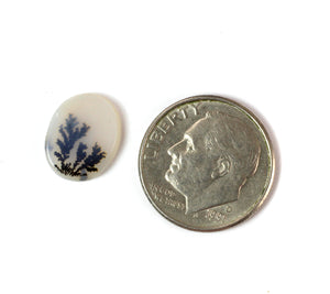 Oval Dendritic Agate Cabochon - #36