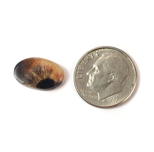 Oval Dendritic Agate Cabochon - #37