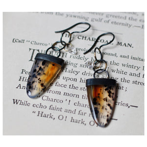 Montana Agate & Herkimer Earrings with 14k