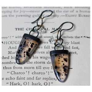 Montana Agate & Herkimer Earrings with 14k