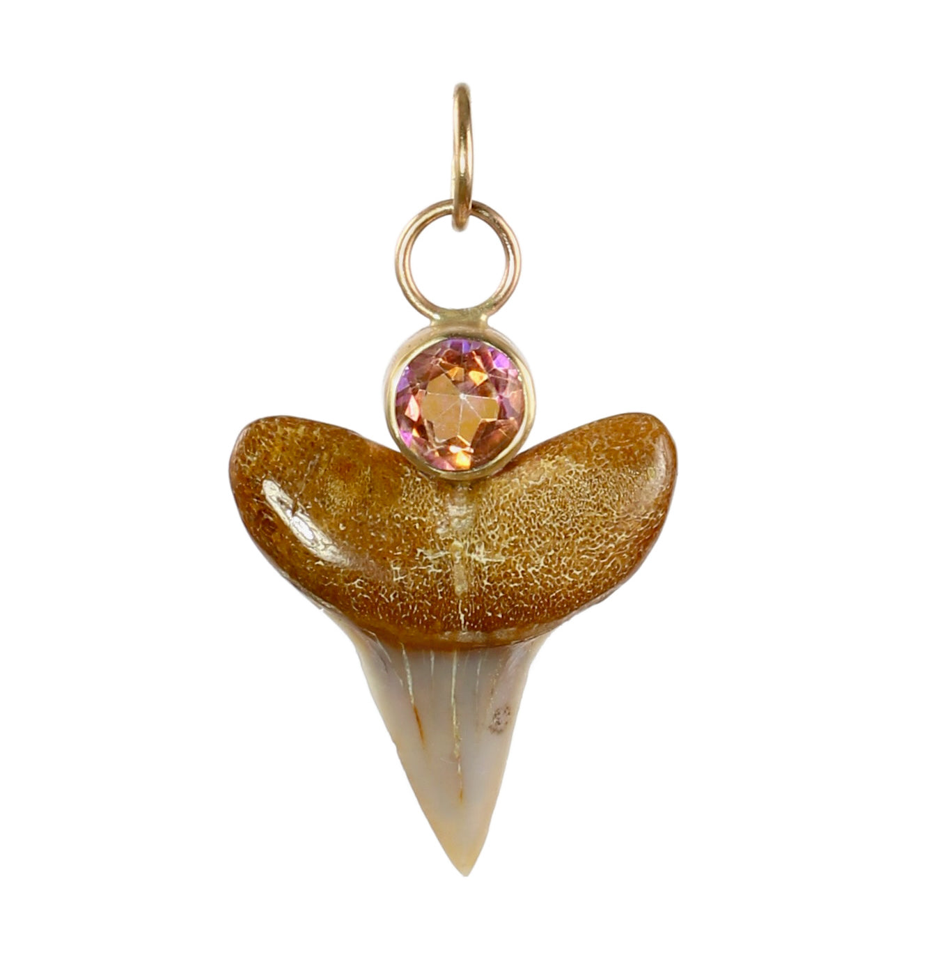 Mystic Topaz and Fossilized Shark Tooth in 14k Gold